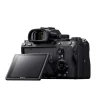 دوربین دیجیتال بدون آینه سونی مدل A7III بدون لنز - Image 3